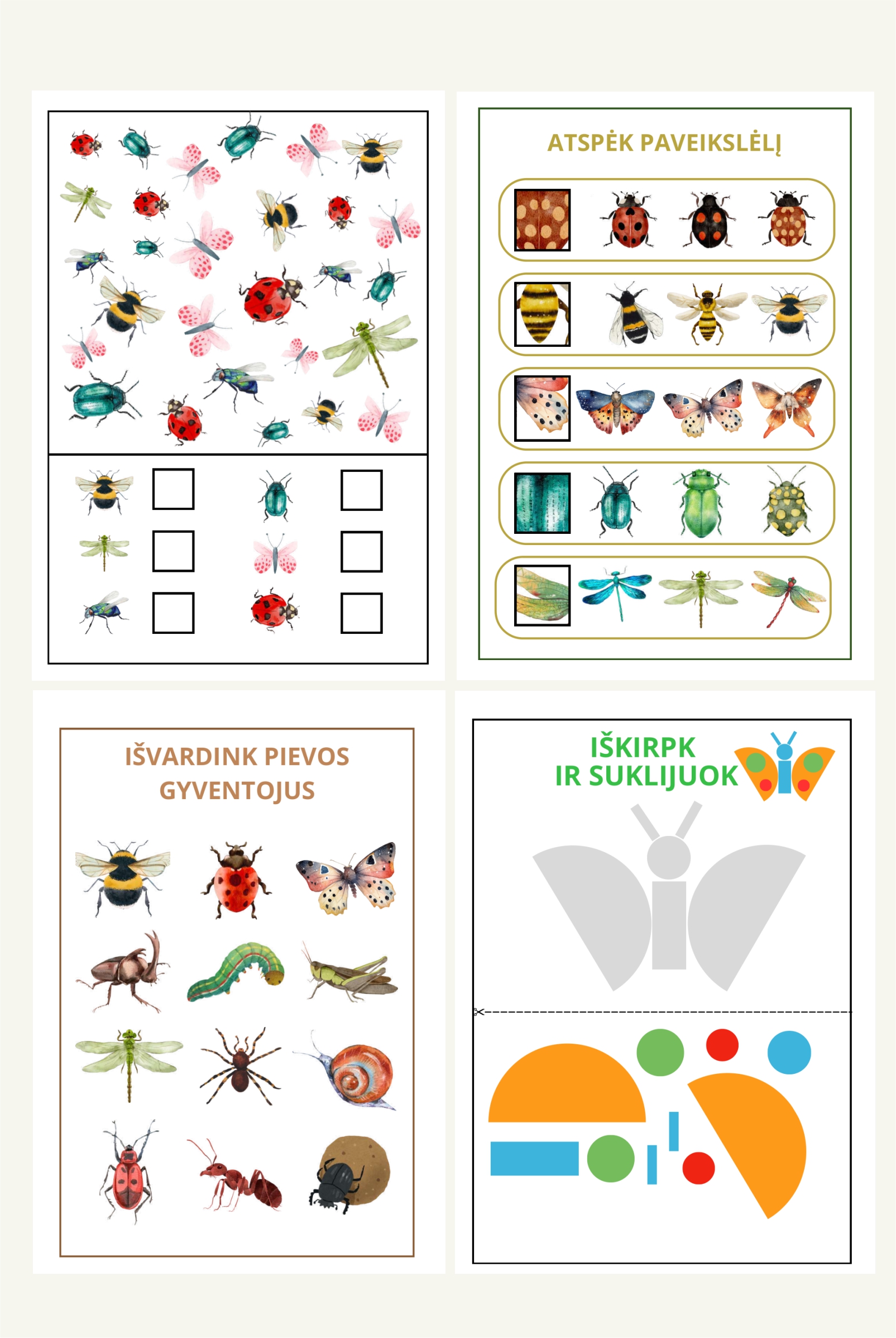 „Vabaliukų pasaulyje“ - Image 3