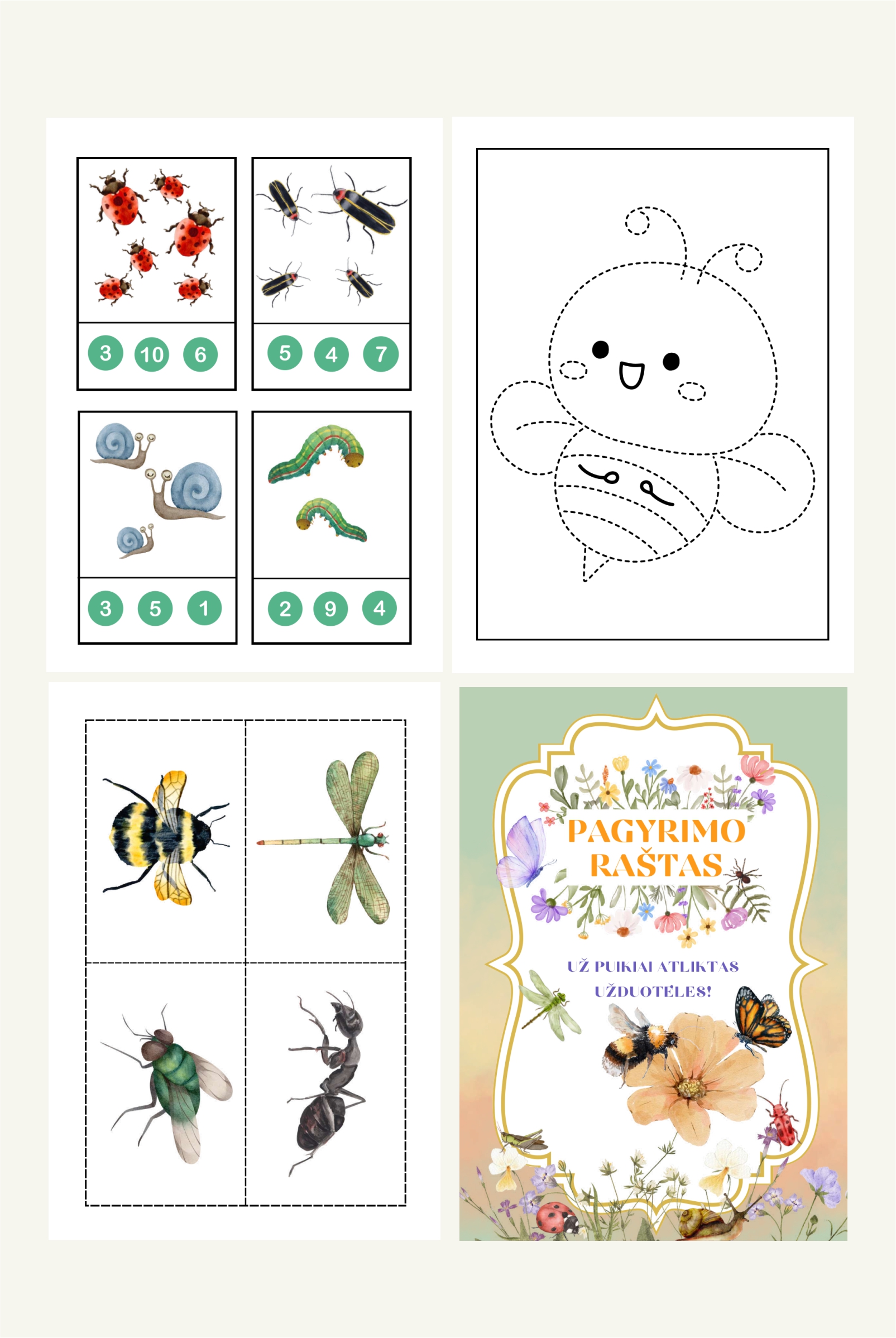 „Vabaliukų pasaulyje“ - Image 4