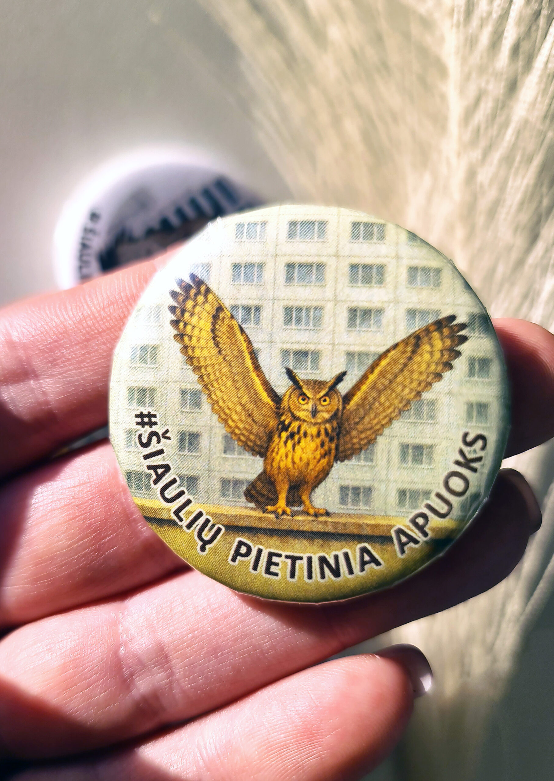 Ženkliukai „Šiaulių Pietinia apuoks“ ir „Šiaulių Pietinia apuokai“ - Image 9