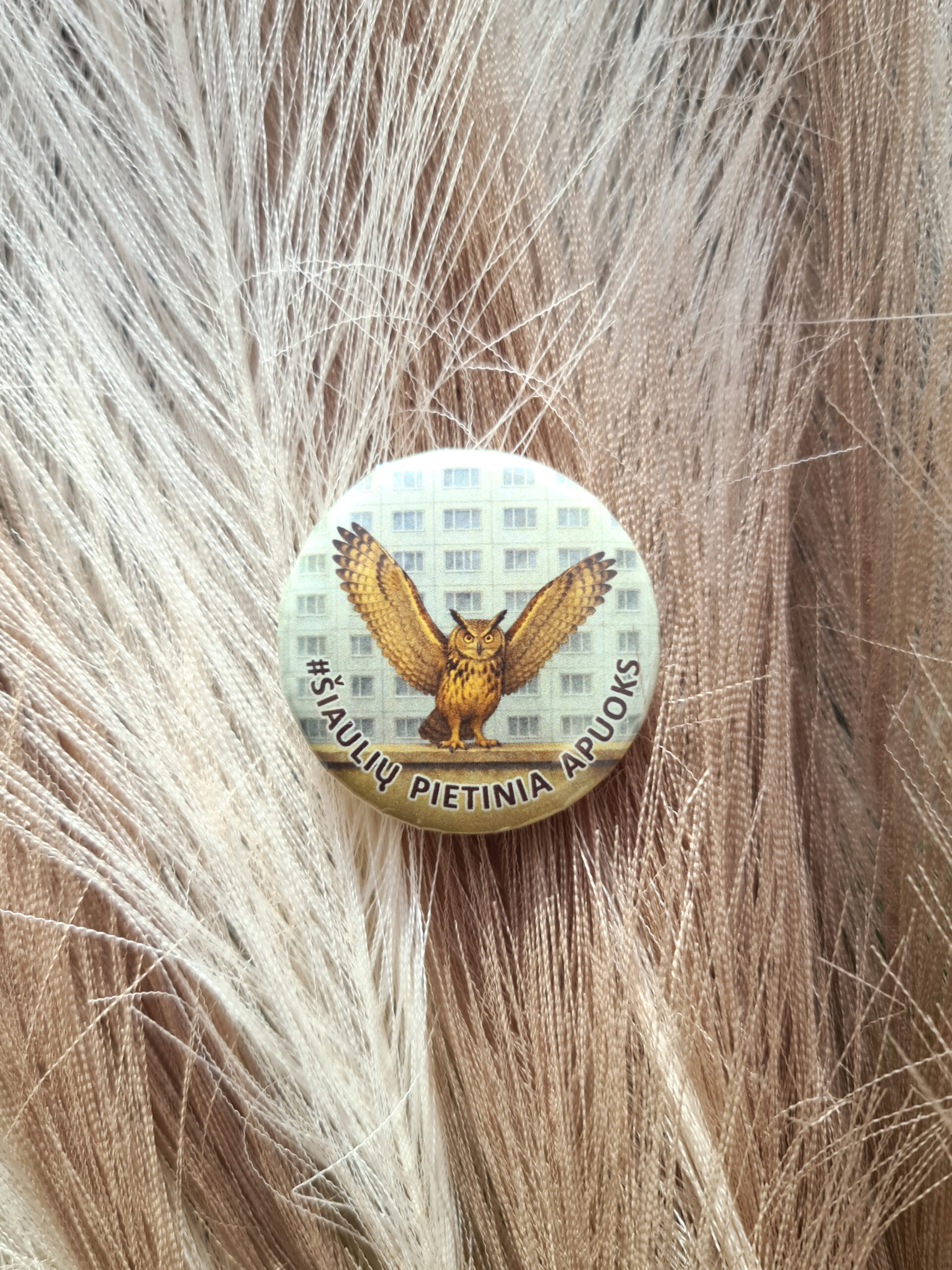 Ženkliukai „Šiaulių Pietinia apuoks“ ir „Šiaulių Pietinia apuokai“ - Image 6