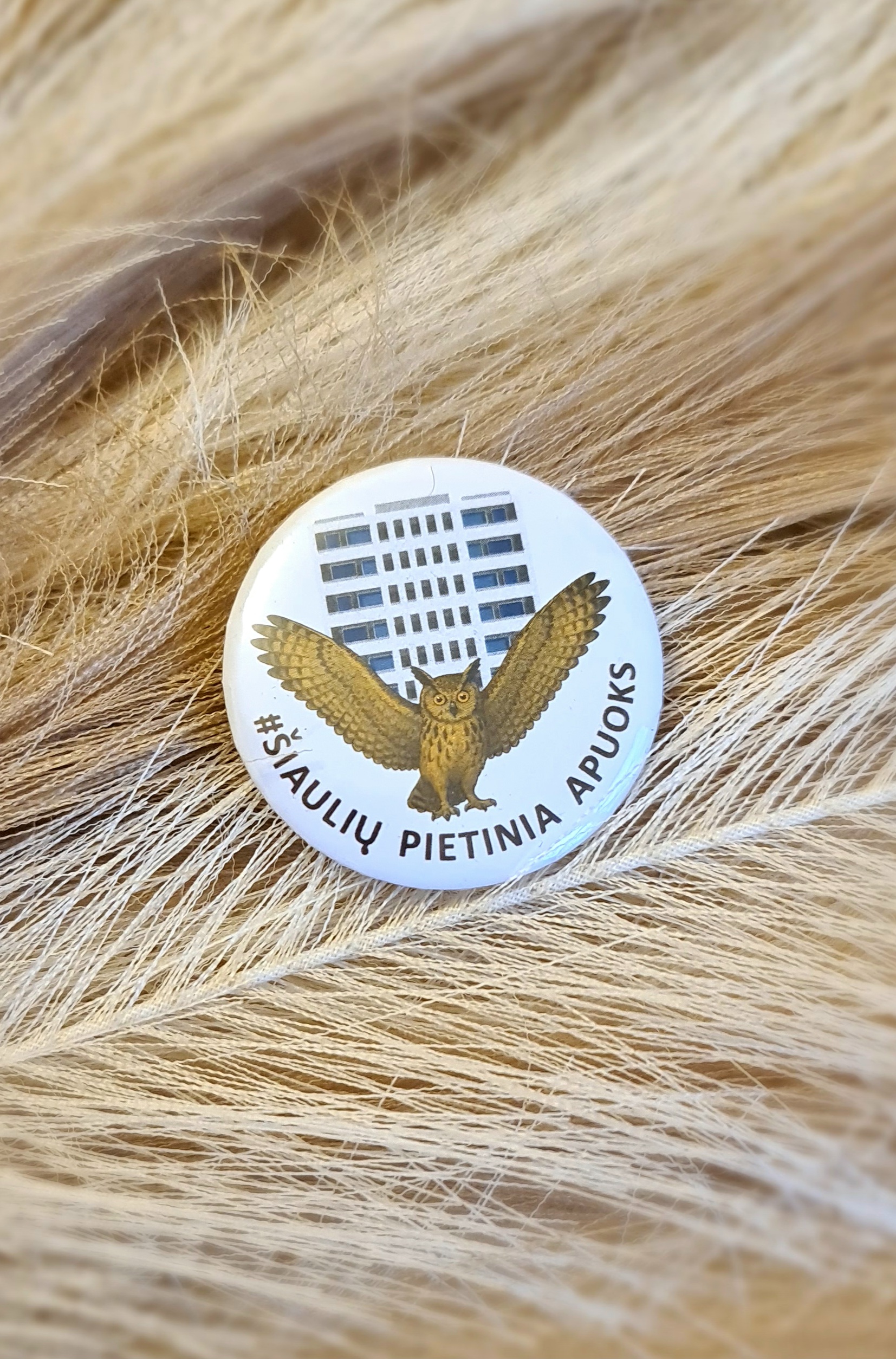 Ženkliukai „Šiaulių Pietinia apuoks“ ir „Šiaulių Pietinia apuokai“ - Image 4