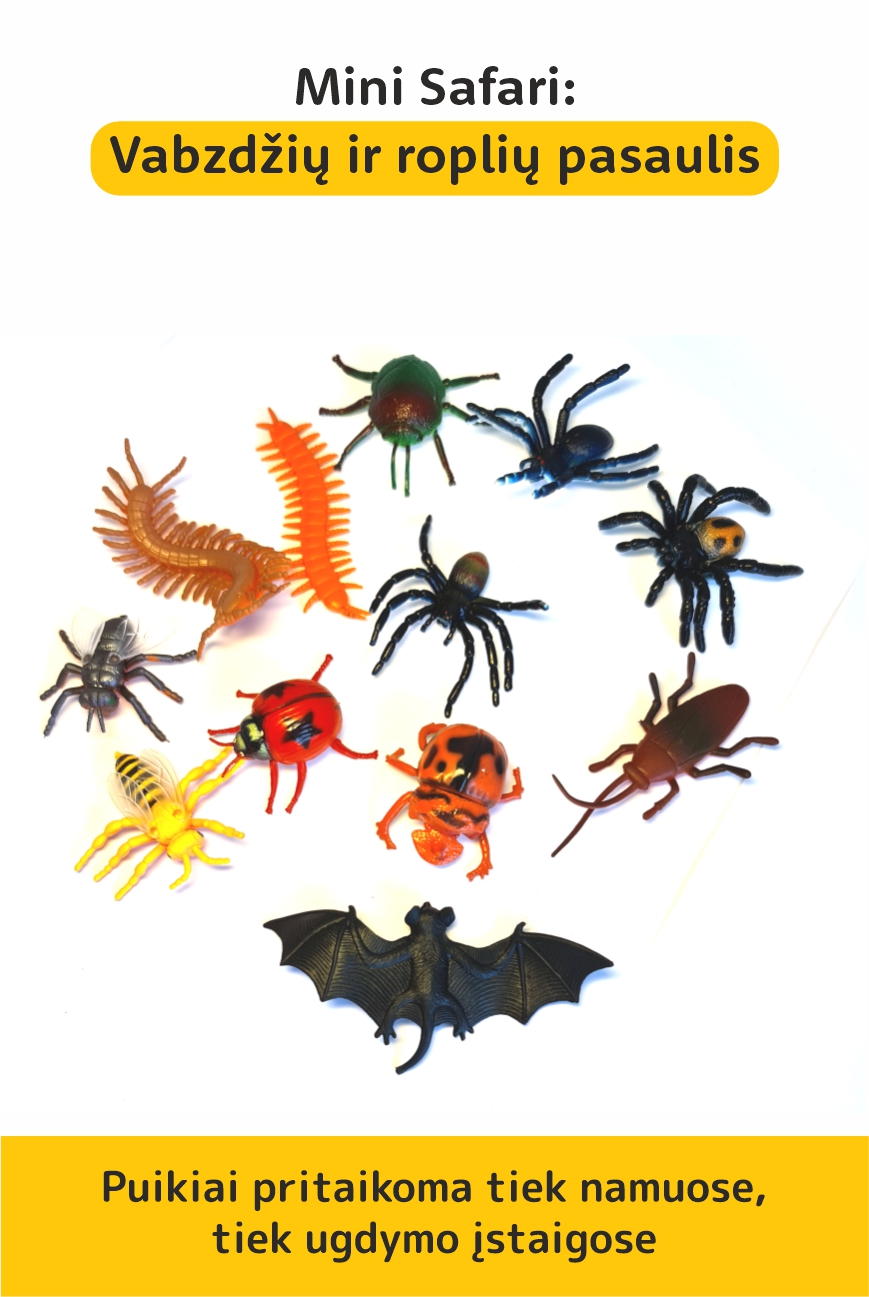 Mini Safari: Vabzdžių ir roplių pasaulis