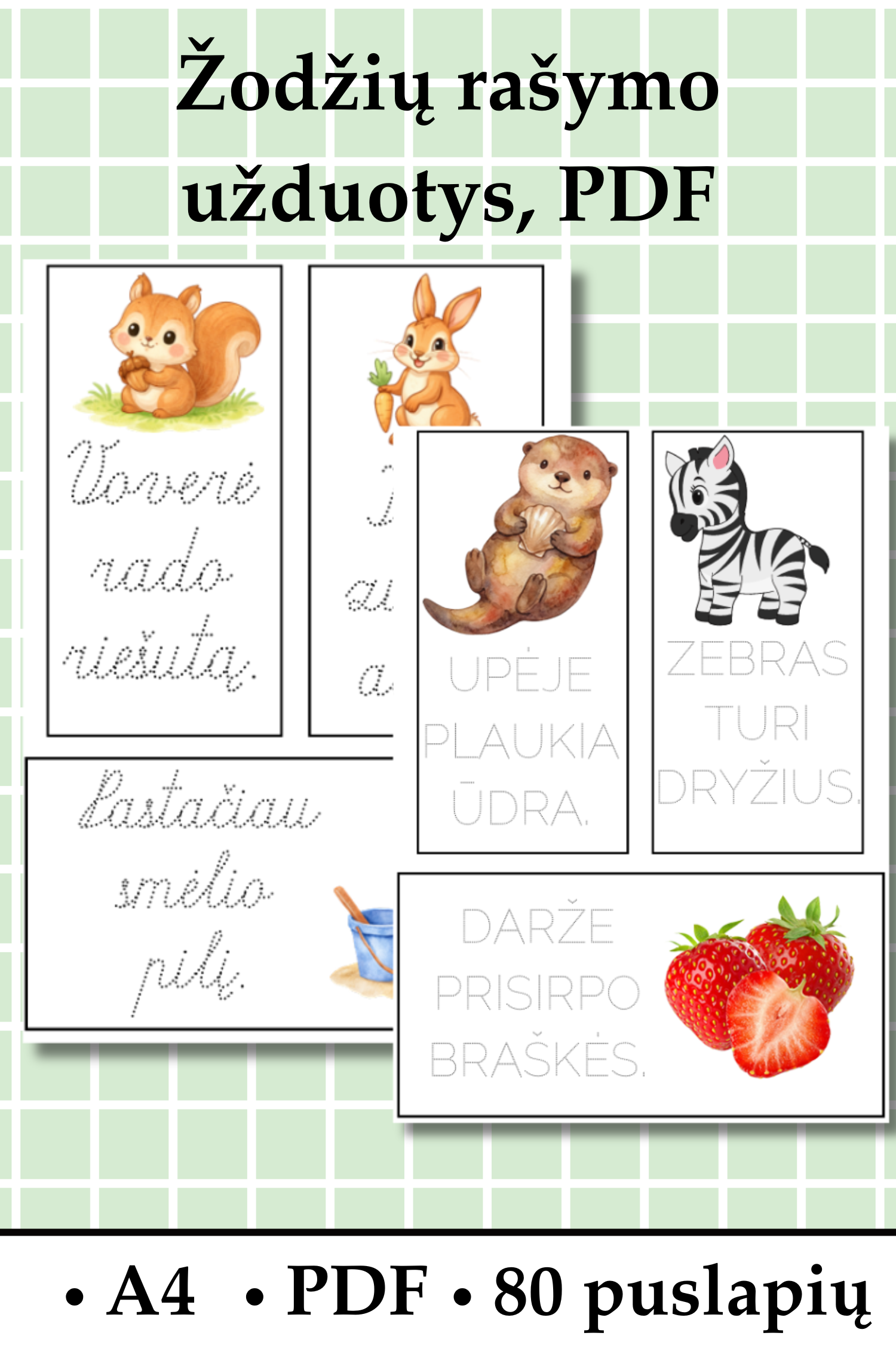 „Žodžių rašymo užduotys“, PDF