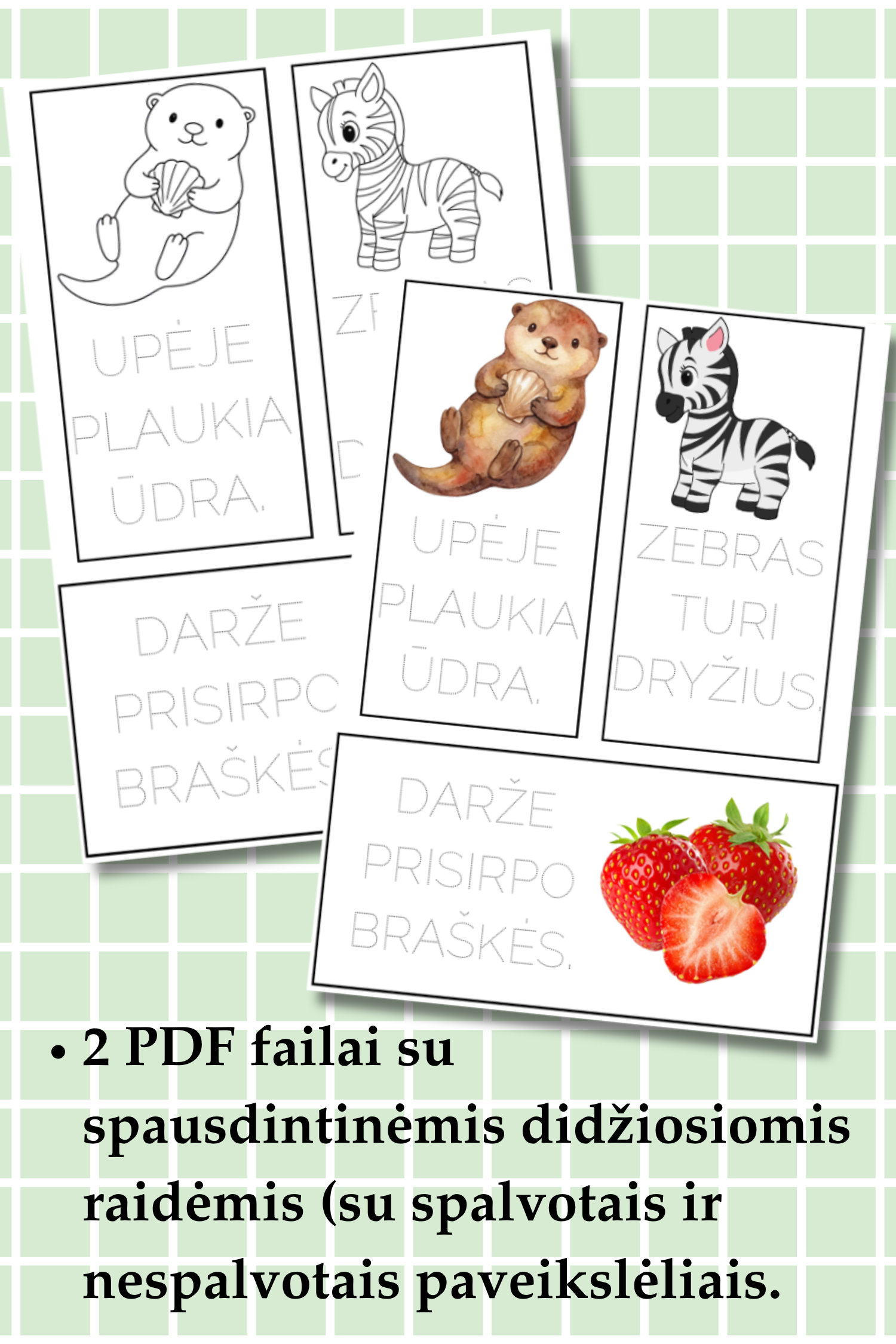 „Žodžių rašymo užduotys“, PDF - Image 3