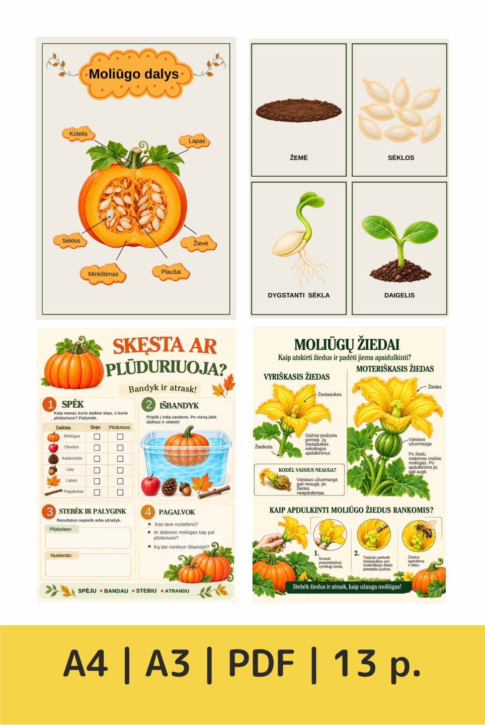 Pažintinė edukacinė priemonė „Moliūgkiemis“ (PDF) - Image 2
